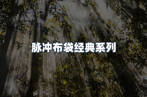 脉冲布袋经典系列