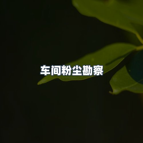 服务优势