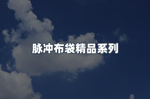 脉冲布袋精品系列
