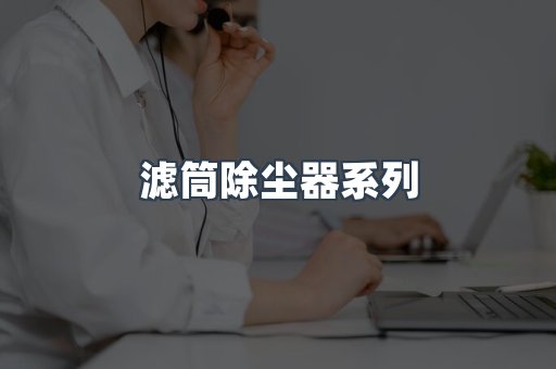 滤筒除尘器系列